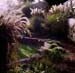 garden_01