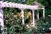 garden_03